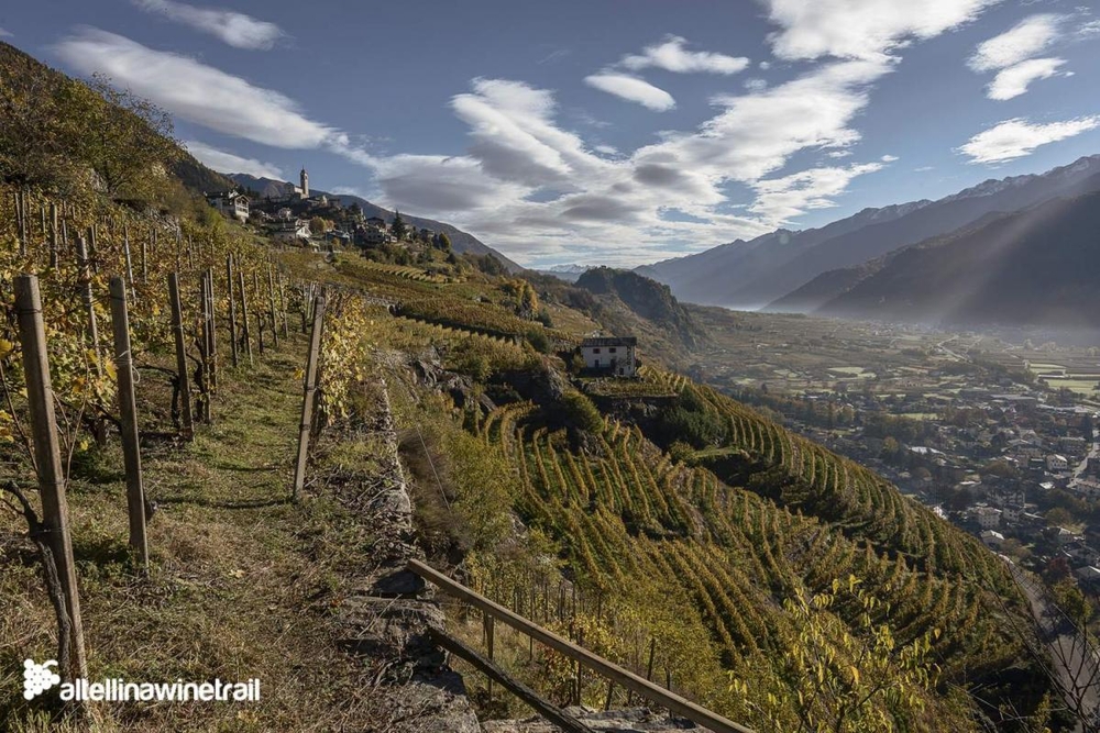 Un tratto del percorso (foto di Fabio Menino tratta dal sito web www.valtellinawinetrail.com)